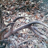 r.2008 3,10kg-14torak