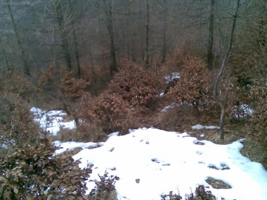 takto mi zapozoval 1x