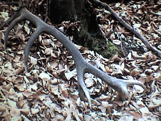 1.4.2007 16-torak poprve