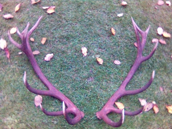 1.4.2007 16-torak par