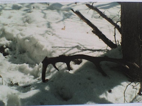 12-torak nalehne -2.90kg