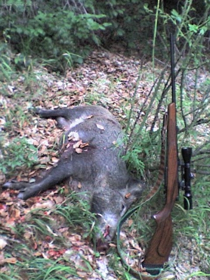 uspesna vecerna cakana.