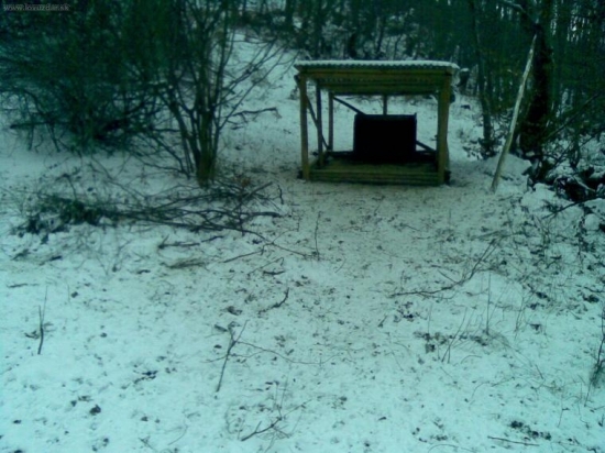 aby zver v case nudze nehladovala.