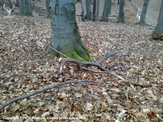 to bolo potešenie