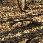 uz som myslel ze to nepríde