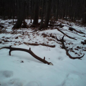 tak už je to konecne tu ...