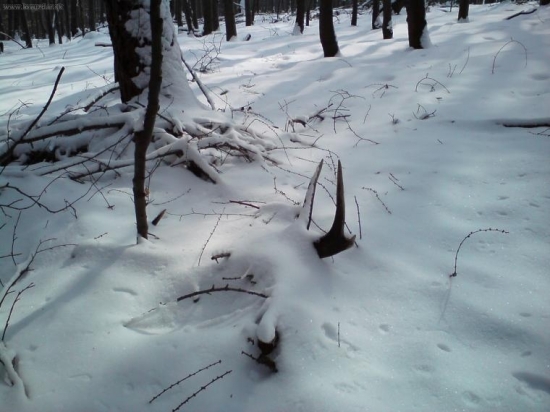 a takto sa mi ukazovali