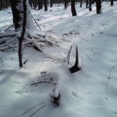 a takto sa mi ukazovali