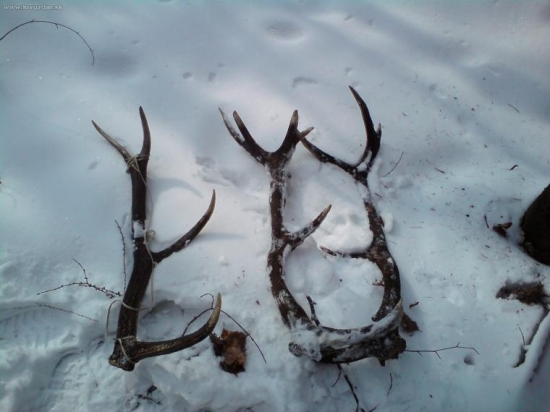 tak toto je včerajší dozber, všetko minuloročné