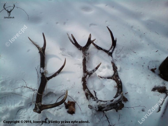 tak toto je včerajší dozber, všetko minuloročné