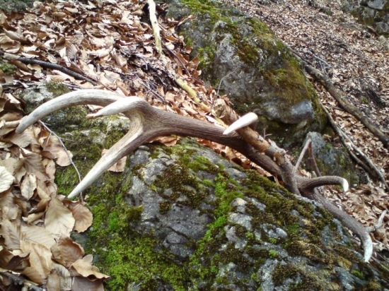 kamarátov sobotňajší