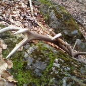 kamarátov sobotňajší