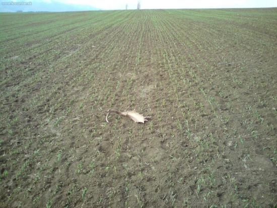 moje dnešné šťastie