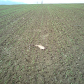 moje dnešné šťastie