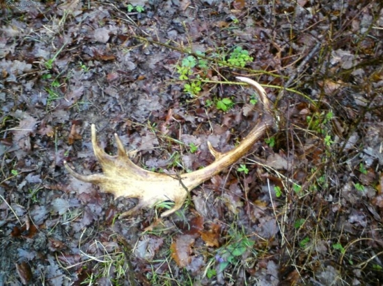 dnes opäť vydarený deň