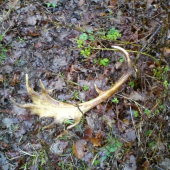 dnes opäť vydarený deň