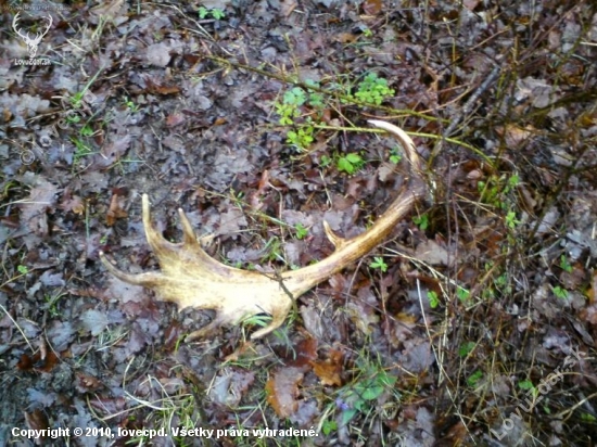 dnes opäť vydarený deň