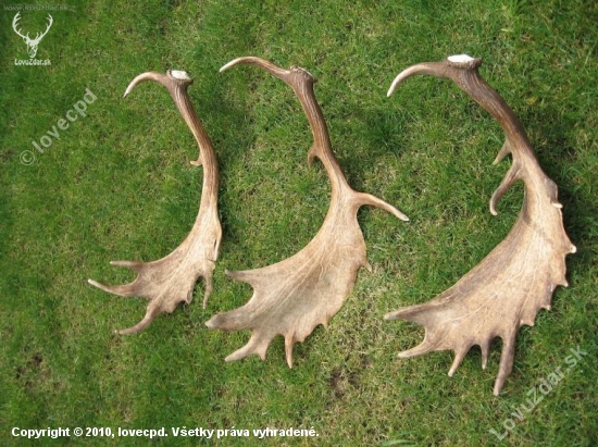 hladám k nim do páry, píšte mi :-)))