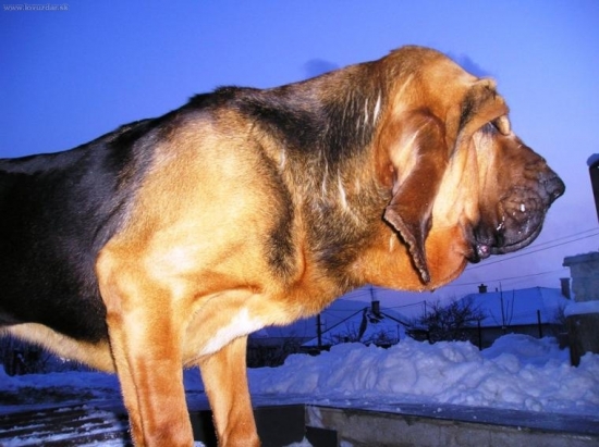 spomienka na našu krásavicu