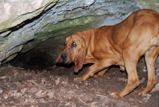 asi nie je nikto doma