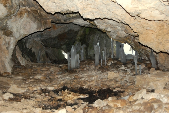 ako si lanštiak v jaskyni kosti zložil 1.