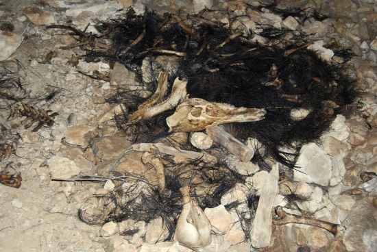 ako si lanštiak v jaskyni kosti zložil 2