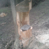 solisko