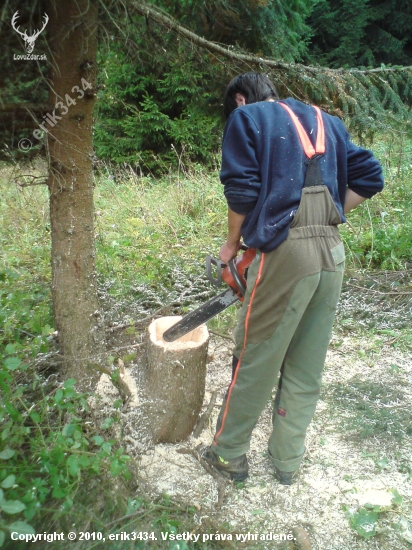 solisko