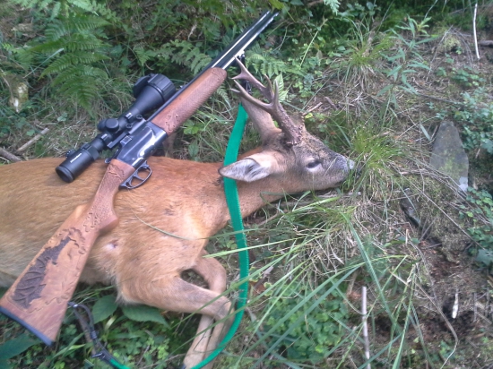 Prvý nemecký srnček ll.veková trieda