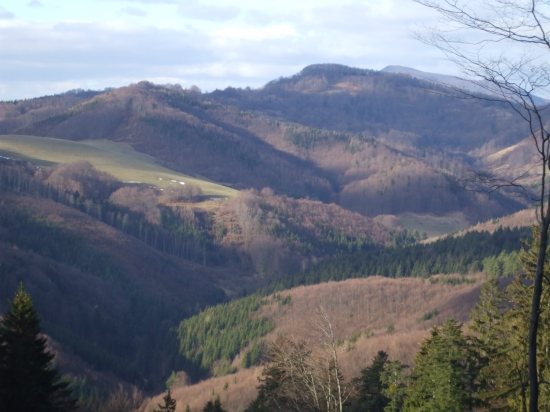 Príroda