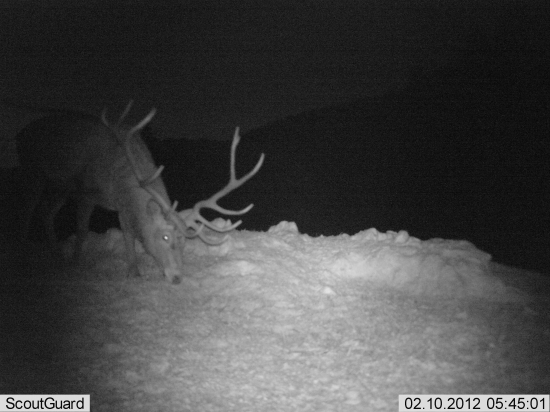 Aj takéto sú u nás 1.