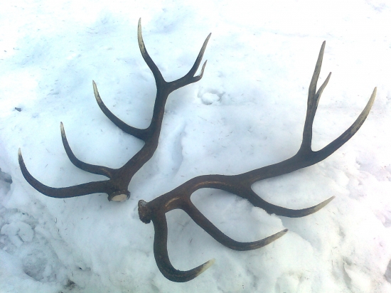 Podaril sa aj druhý!