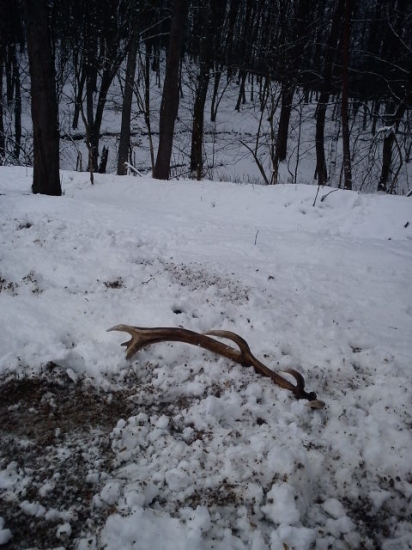 najväčší z dnešných