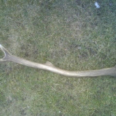 dnešný spiatočník