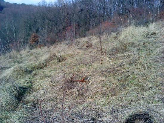 Dnešný zabudnutý :)