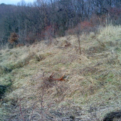 Dnešný zabudnutý :)