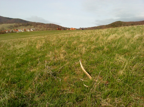 prvy lúčny :) v tomto roku