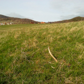 prvy lúčny :) v tomto roku