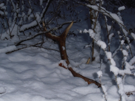 Zasnežené šťastie