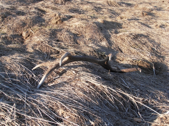 Kamarátov dnešný :)