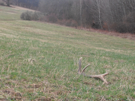 Po dvoch dňoch, pár k ID 160393