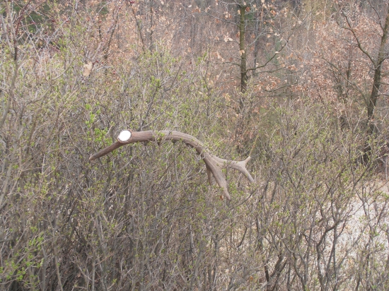 teba neprehliadnem !