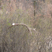 teba neprehliadnem !