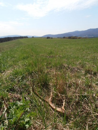 z tých posledných ..