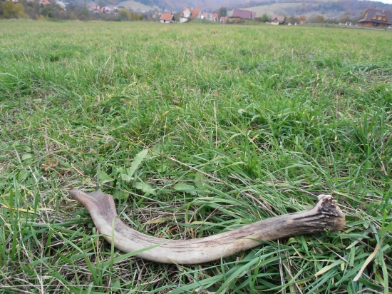 Keď neprší, aspoň kvapká :)