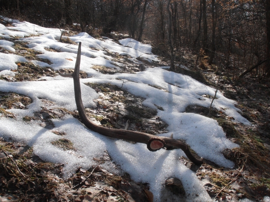 Nezabudnuteľné rána ..