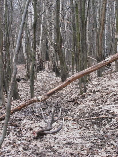 Dnešné šťastie :)