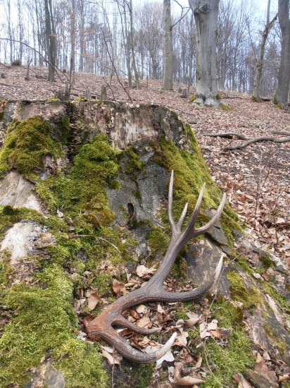 Môj naj v tomto roku :)
