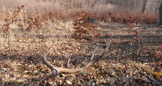 Vydarená nedeľa :)