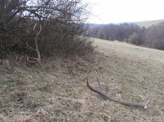 trošku viac šťastia hneď z rána :)